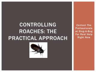 controlling roaches: the practical approach