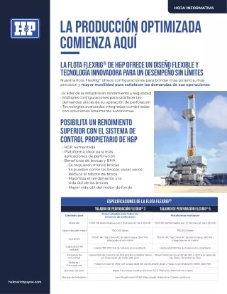 FlexRig-Fleet-Spanish PDF 1