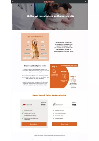 Virtual Vet Consultations - Instant Pet Care Solutions at Your Fingertips!
