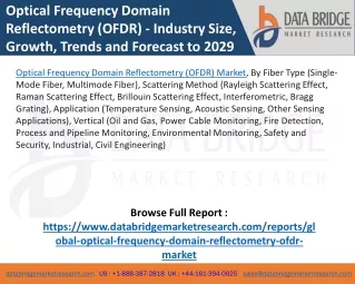 Optical Frequency Domain Reflectometry (OFDR) Market