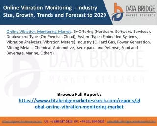 Online Vibration Monitoring Market