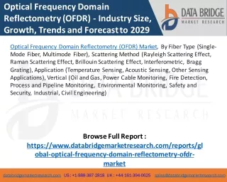 Optical Frequency Domain Reflectometry (OFDR) Market