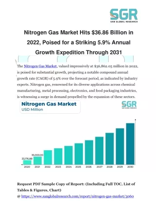 Nitrogen Gas Market Rockets to $36.86 Billion in 2022, Explores a High-Flying 5.