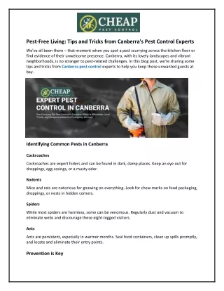 Pest-Free Living and Tips and Tricks from Canberra's Pest Control Experts