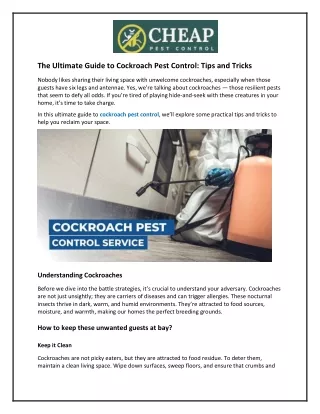 The Ultimate Guide to Cockroach Pest Control and Tips and Tricks