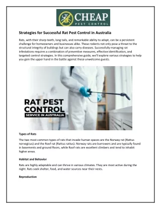 Strategies for Successful Rat Pest Control in Australia