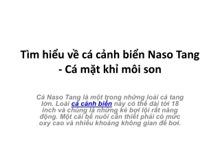 Tìm hiểu về cá cảnh biển Naso Tang - Cá mặt khỉ môi son