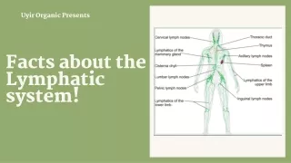 Facts about the Lymphatic system!