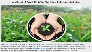 Why Benedict T Palen Jr Thinks That Biofertilizers Are Reshaping Agriculture