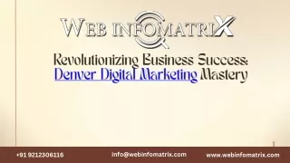 Revolutionizing Business Success Denver Digital Marketing Mastery