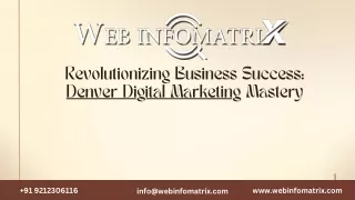 Revolutionizing Business Success Denver Digital Marketing Mastery