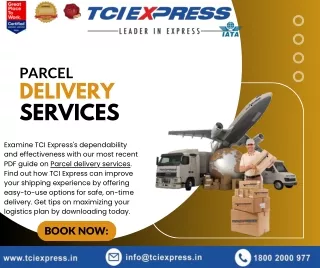 parcel  delivery services