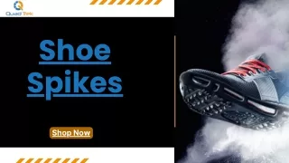 Winter Shoe Spikes