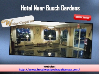 hotel near busch gardens