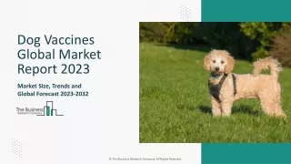 Dog Vaccines Market Trends, Size, Growth Drivers, Outlook 2024-2033