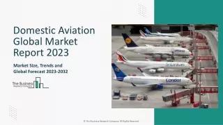 Domestic Aviation Market Size, Share, Trends, Growth Report And Forecast 2033