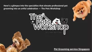 Here’s a glimpse into the specialties that elevate professional pet grooming into an artful celebration — The Pets Works