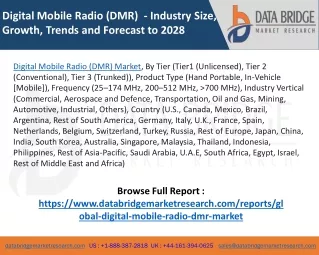 Digital Mobile Radio (DMR) Market