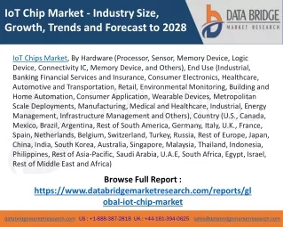 IoT Chip Market