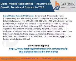 Digital Mobile Radio (DMR) Market