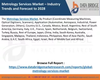 Metrology Services Market