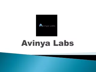 Avinya Labs: Elevate Your Presence with Digital Marketing Excellence