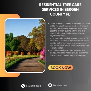 Residential Tree Care Services in Bergen County NJ