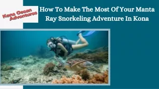 How To Make The Most Of Your Manta Ray Snorkeling Adventure In Kona