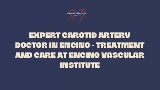 Expert Carotid Artery Doctor in Encino - Treatment and Care at Encino Vascular Institute