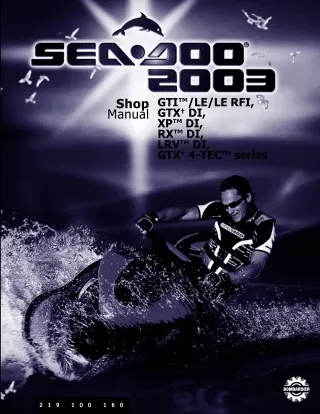 2003 Sea-Doo GTI LE (earthen clay) 6102 Service Repair Manual