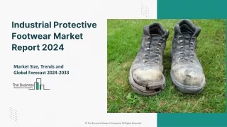 Global Industrial Protective Footwear Market 2024 Insights And Segment Analysis