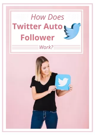 Twitter Auto Follower