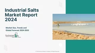 Industrial Salts Market