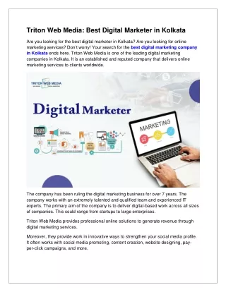 Triton Web Media Best Digital Marketer in Kolkata