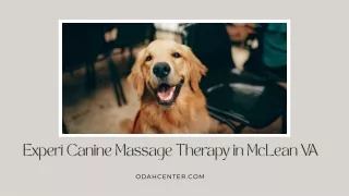 Expert Canine Massage Therapy in McLean VA