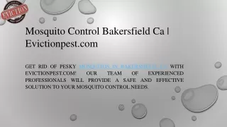 Mosquito Control Bakersfield Ca  Evictionpest.com