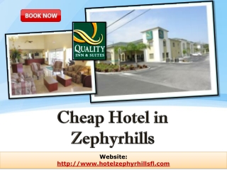 cheap hotel in zephyrhills