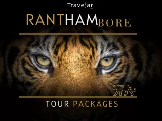 Ranthambore Tour Packages