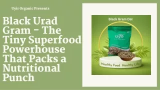 Black Urad Gram - The Tiny Superfood Powerhouse That Packs a Nutritional Punch