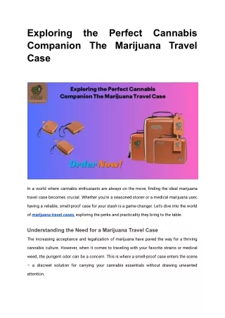 Exploring the Perfect Cannabis Companion The Marijuana Travel Case