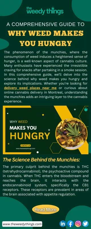 A Comprehensive Guide to Why Weed Makes You Hungry