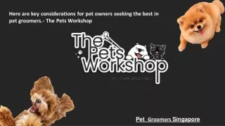 Here are key considerations for pet owners seeking the best in pet groomers.- The Pets Workshop