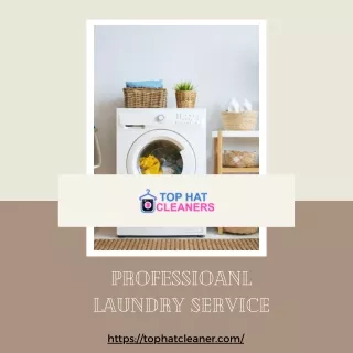 professioanl laundry service
