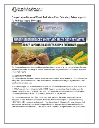 3-Europe Union Reduces Wheat And Maize Crop Estimates, Raises Imports To Address Supply Shortages