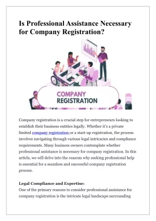 Is Professional Assistance Necessary for Company Registration?