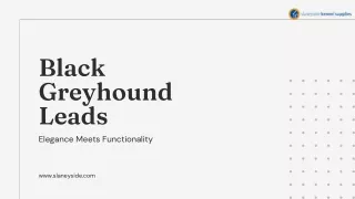Black Greyhound Leads - Slaneyside Kennels
