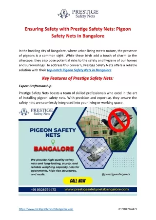 Pigeon Safety Nets in Bangalore