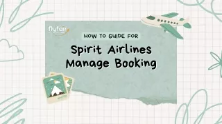 How to Manage Flights Reservations on Spirit Airlines?