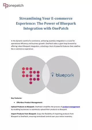Streamlining Your E-commerce Experience: The Power of Bluepark Integration