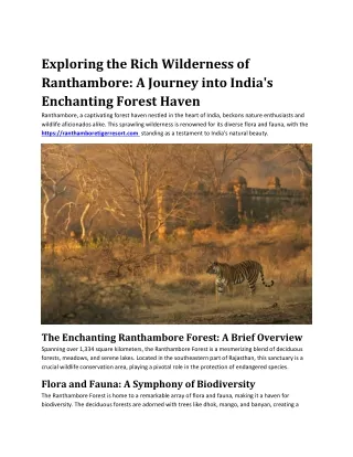 Exploring the Rich Wilderness of